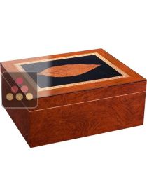 Compact Cigar Humidor Adorini
