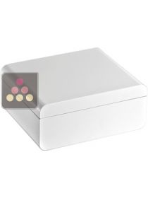 Compact Cigar Humidor Adorini