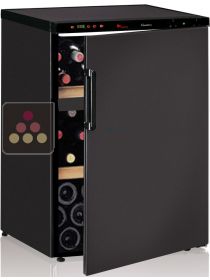 Dual temperature wine cabinet for ageing and service CALICE