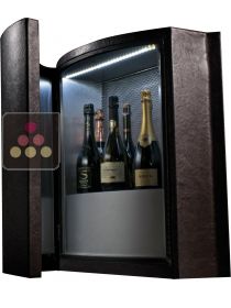 Dual temperature contemporary wine storage or service cabinet ELLEMME