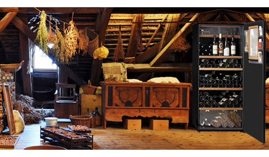 Multipurpose cabinet for storage and service of chilled and room temperature wines