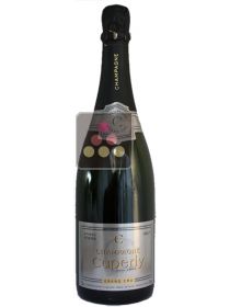 1 Bottle of Cuperly Champagne - To celebrate! Sélection Vin