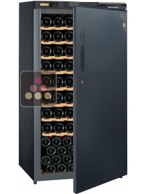 Single temperature wine ageing cabinet AVINTAGE