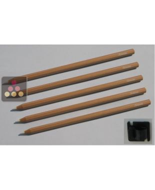 Set of 5 chalks + holder TRANSTHERM