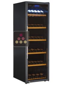 1 temperature wine cabinet for storage and service CAVISS
