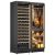 Combined built-in multi-temperature wine cabinet, cheese & cold meat cabinet