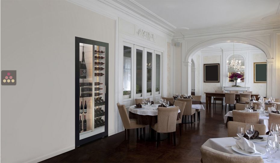 Professional built-in multi-temperature wine display cabinet - Mixed shelves