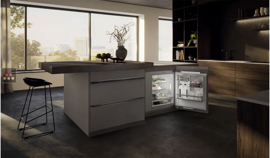 Mini fridge : can be fitted under counter with decorative panel coverable - 127 Litres