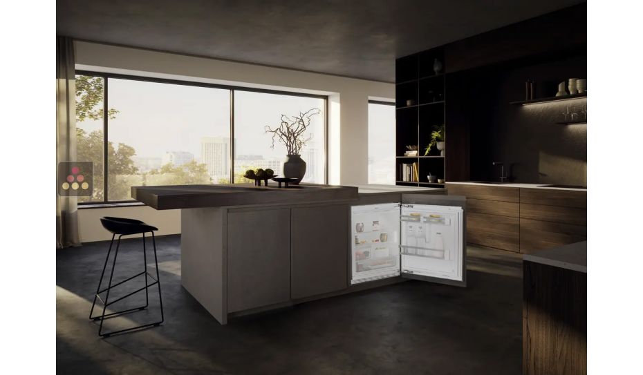 Mini fridge : can be fitted under counter with decorative panel coverable - 127 Litres