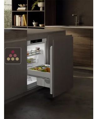Mini fridge : can be fitted under counter with decorative panel coverable - 124 Liters LIEBHERR