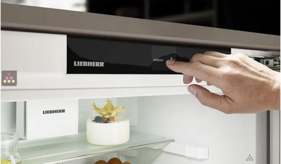 Mini fridge : can be fitted under counter with decorative panel coverable - 124 Liters