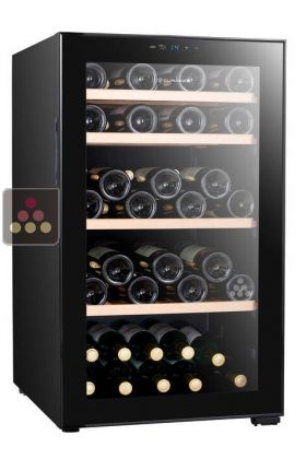 Single temperature wine cabinet for service 