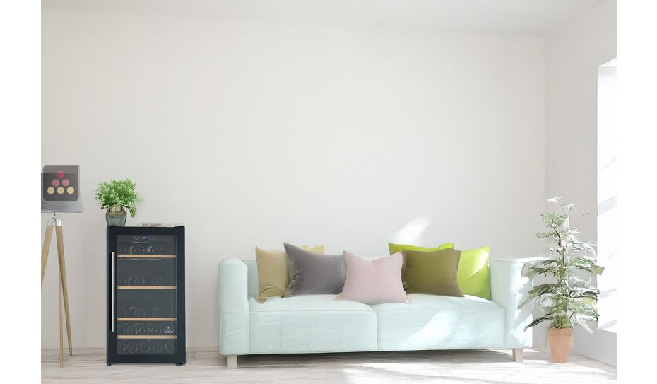 Single temperature wine cabinet for conservation or/and service