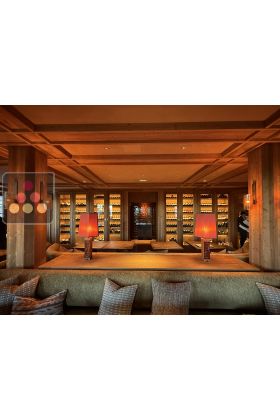 Custom-made single-temperature wine cabinet - 2 doors - steel frame with brushed fir wood finition- 145 Bottles - shelves in brushed fir wood