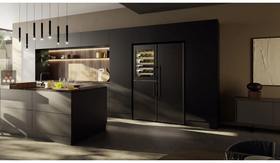 BlackSteel combined wine cabinet, freezer, refrigerator & ice maker with biofresh area