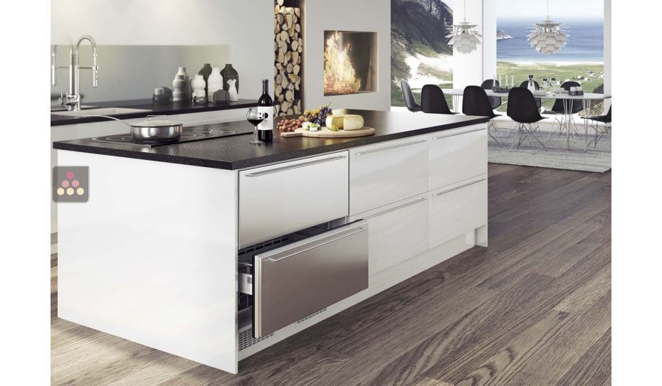 Built-in drawer freezer with customizable facade pannel