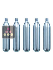 Pack of 5 nitrogen cartridges La SOMMELIERE