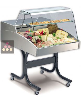 Refrigerated Counter Display Case for Cheese, Meats, delicatessen and fresh produce TECNOX