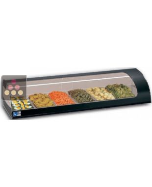 Refrigerated Counter Display Case for Cheese, Meats, delicatessen and fresh produce TECNOX