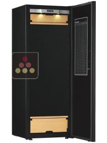 Multi-Purpose Ageing and Service Wine Cabinet for cold and tempered wine TRANSTHERM