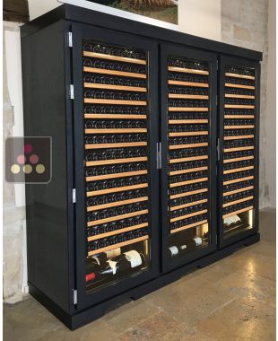 Double temperature refrigerated display cabinet Ma Cave à Vin