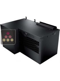 Monobloc air conditionner 1 temperature - Cold production only - Down evacuation with doble condensates Evaporation tray -30m3 FRIAX