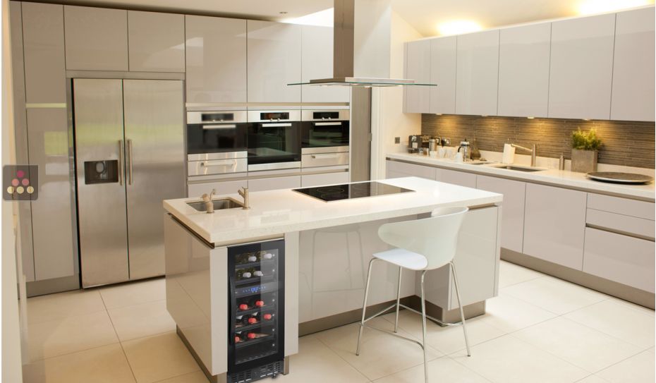 Built-in dual temperature wine cabinet for service/and or storage - Full Glass door