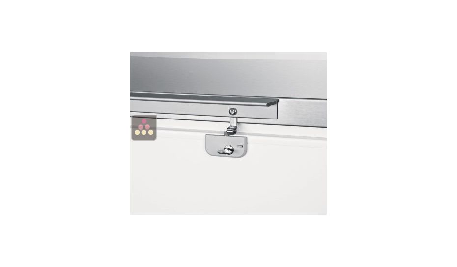 Commercial chest freezer - 460L - Stainless steel lid