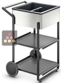 Outdoor mobile bar with insulated presentation bin DOMETIC