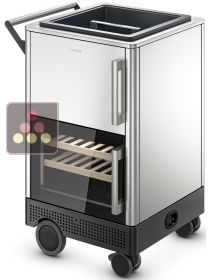 Outdoor mobile bar with refrigerated cabinet and insulated presentation bin - Exhibition model DOMETIC