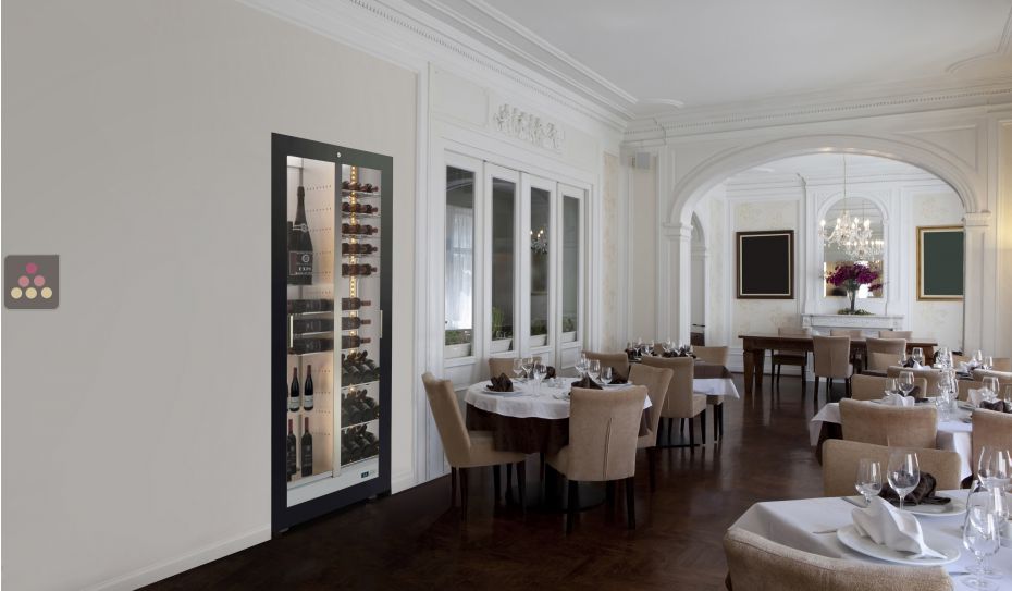 Professional built-in multi-temperature wine display cabinet - Mixed shelves