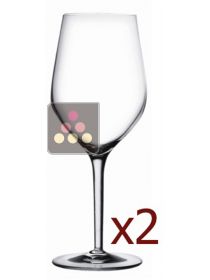 Good Size n°1 -Pack of 2 glasses L'ATELIER du VIN