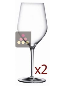 Good Size n°3 - Pack of 2 glasses L'ATELIER du VIN