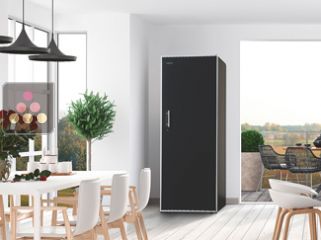 Single temperature wine ageing and storage cabinet 